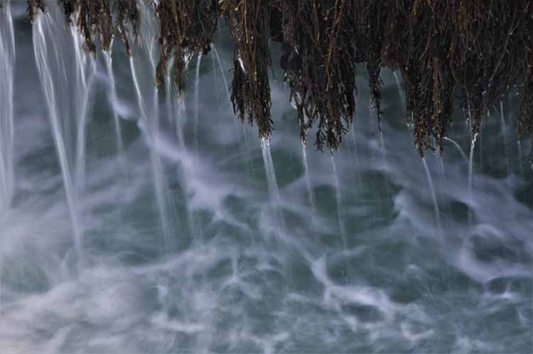 thunderous water hole